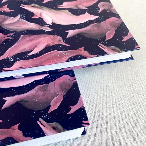 Planeador Anual - Las Toninas, Delfines de Río Azul