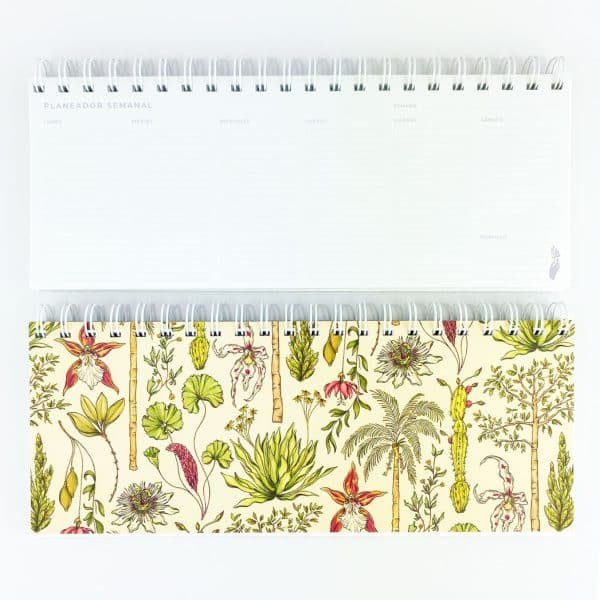 Planeador Semanal - Vegetación de La Sierra, heterogénea, relacional y vital - Día