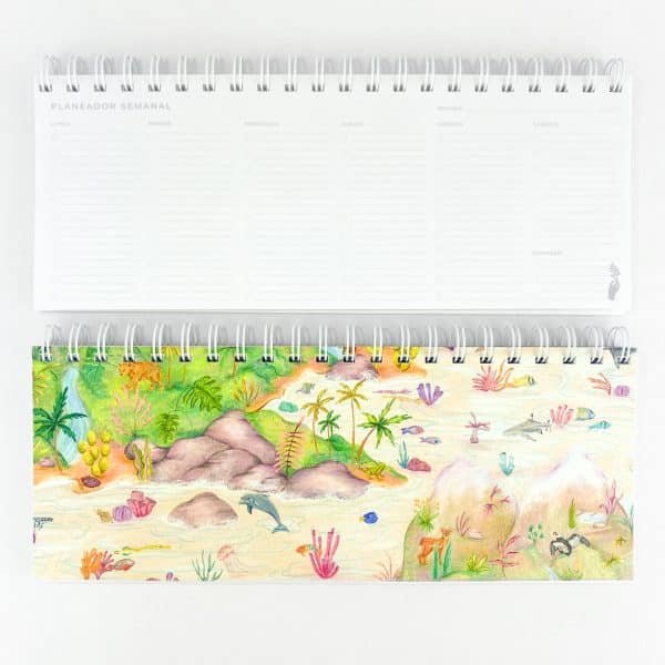 Planeador Semanal - La Sierra Nevada, un ecosistema de vidas en conexión - Día