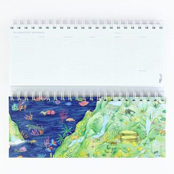 Planeador Semanal - La Sierra Nevada, un ecosistema de vidas en conexión - Noche