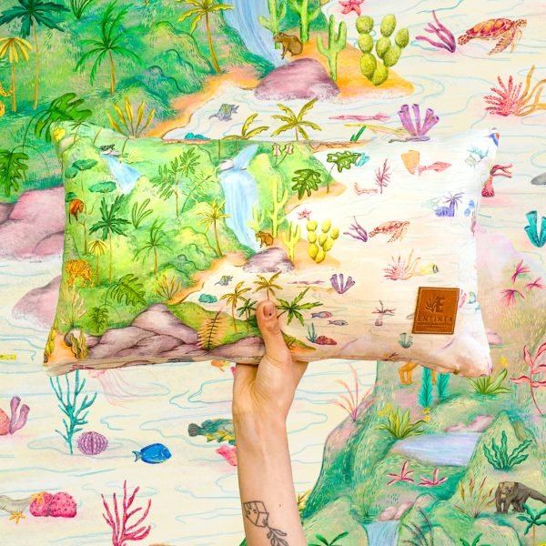 Cojines - La Sierra Nevada, un ecosistema de vidas en conexión - Día