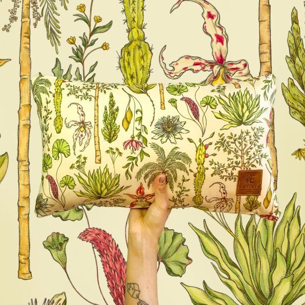 Cojines - Vegetación de La Sierra, heterogénea, relacional y vital - Día