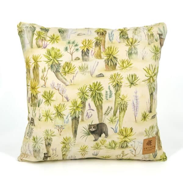 Cojines - El Páramo de los Andes Nariñenses - Día