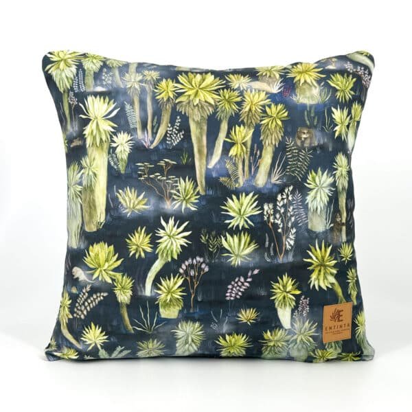 Cojines - El Páramo de los Andes Nariñenses - Noche