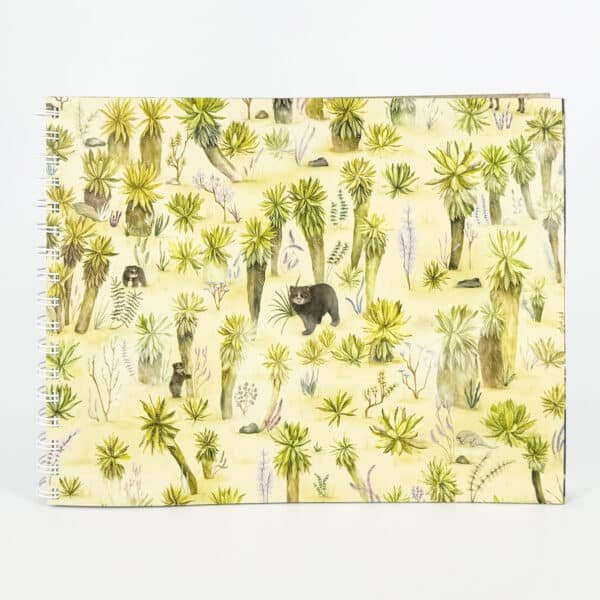 Libreta de dibujo - El Páramo de los Andes Nariñenses - Día