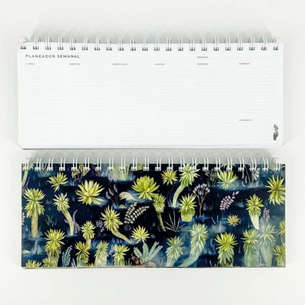 Planeador Semanal - El Páramo de los Andes Nariñenses - Noche