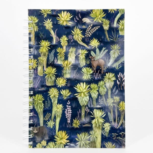 Planeador Anual - El Páramo de los Andes Nariñenses - Noche