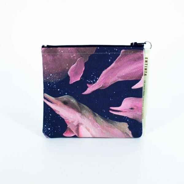 Monedero - Las Toninas, Delfines de Río